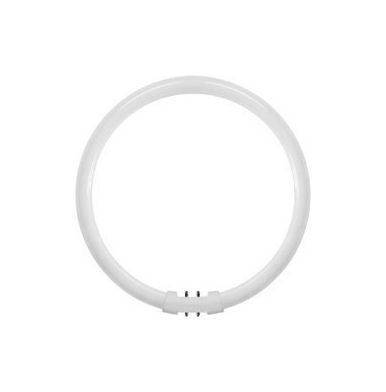T5 55W Natural White 4000K Round Fluorescent Tube