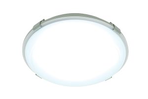 VAND OPAL PRISMATIC & GREY POLYCARBONATE 16W LED(SMD 2835) COOL WHITE 103mm x 305mm COMPLETE WITH LED DRIVER /IP65