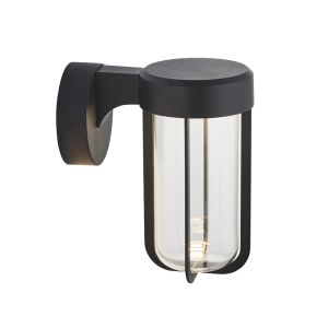 Pacato 1 Light 8W Integrated LED 2700K, 470lm Brushed Black Die Cast IP44 Outdoor Wall Light With Clear Glass Shade