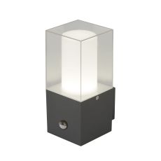 Outdoor Wall Light With Sensor