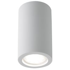 Flush Cylinder Flush Ceiling Light