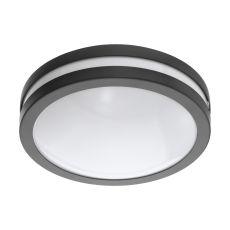 Locana-C1 Light LED Integrated Outdoor IP44 Wall/Flush Light Anthracite With White Plastic Diffuser