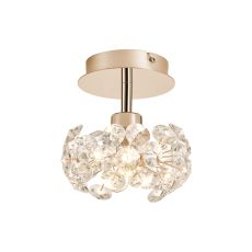 Riptor 1 Light G9 Surface Light With French Gold And Crystal Shade