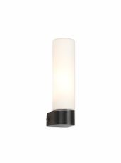 Tasso IP44 1 Light E14 Wall Lamp, Satin Black With Opal Tubular Glass